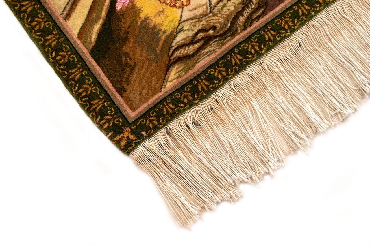 60x84 Tabriz Figural
